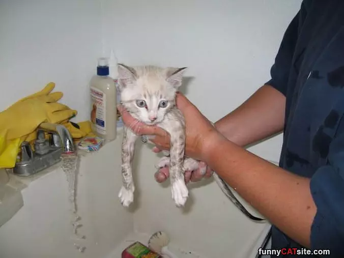 Getting A Bath