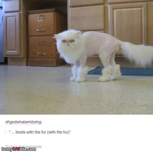 Boots With Fur