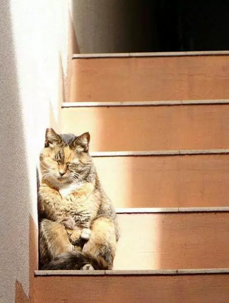 Just Sitting Down For A Second