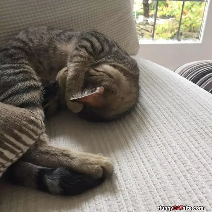 Super Nap