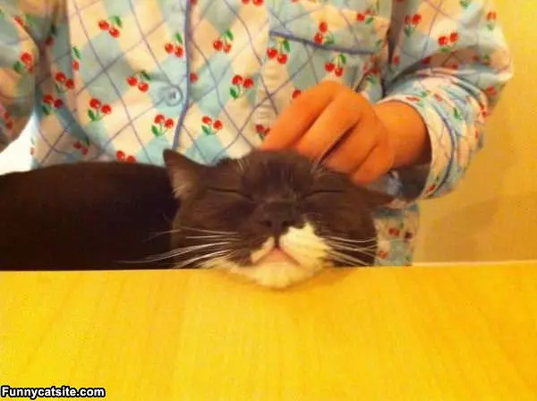 Just Scratch Me