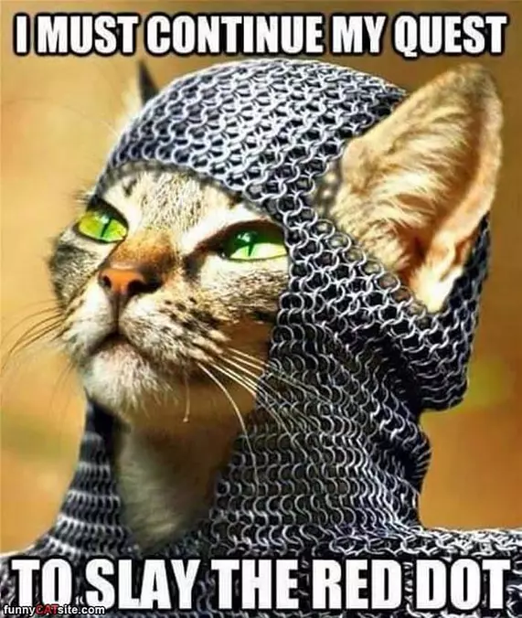 I Must Continue My Quest