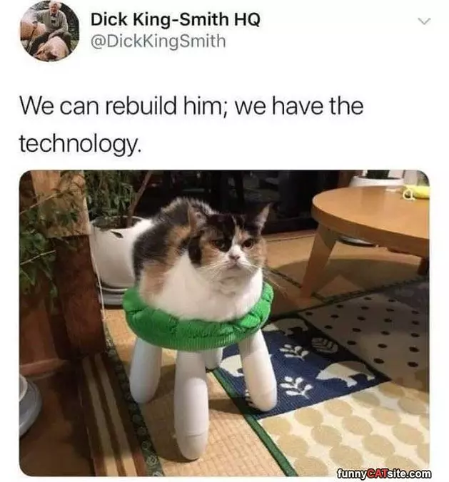 We Can Rebuild