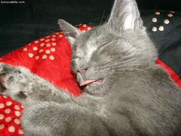 Hugry When I Sleep