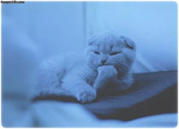 Pondering