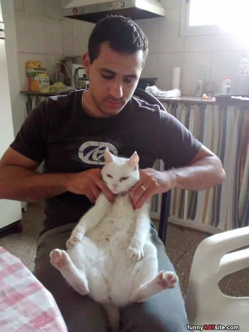 Massage Me Good Human
