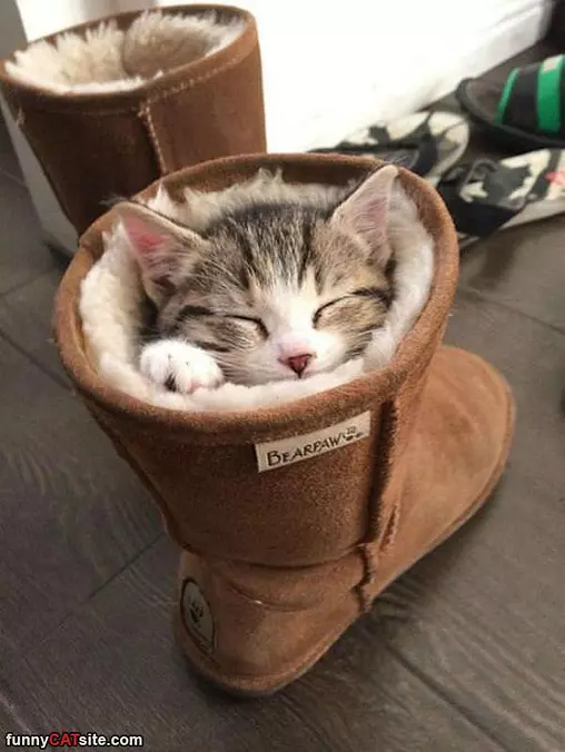 Warm Boot