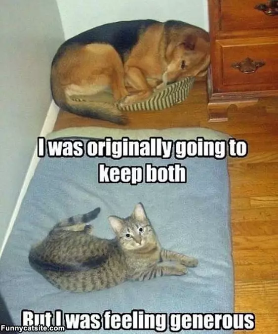 Generous Cat