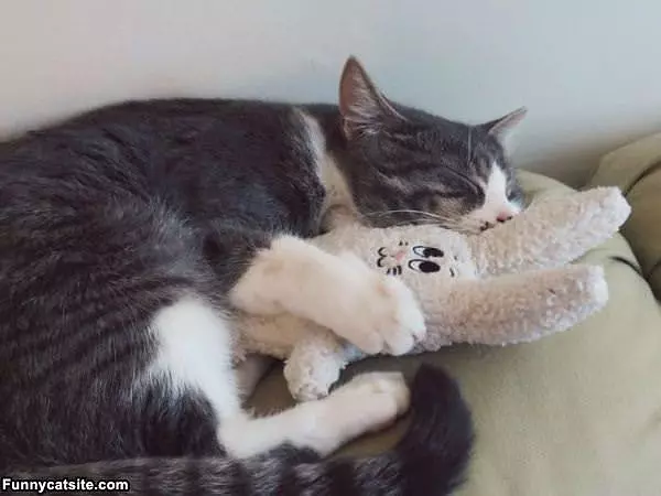 Sleepy With My Pillow