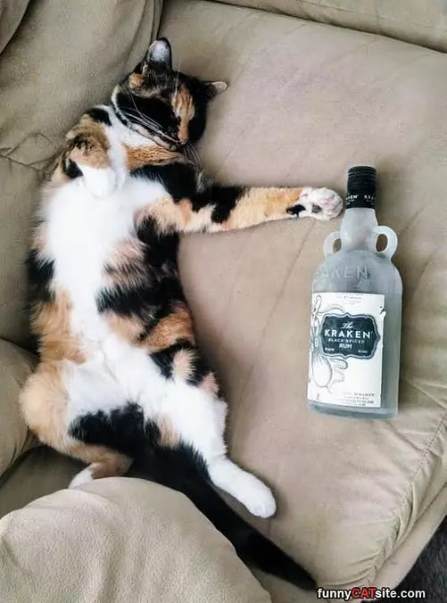 Fell Asleep Here