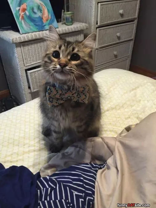 Just Watching You But With Class