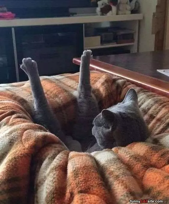 Sticking My Legs Up