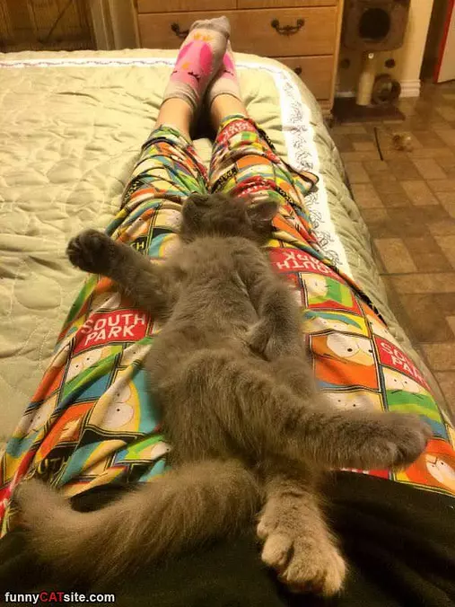 How I Chill Out