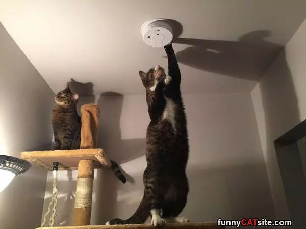Turn This Off