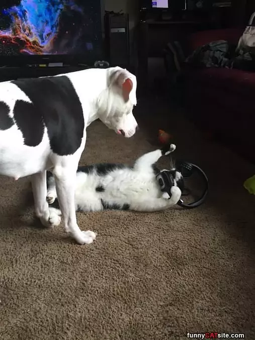 Get Away Its Mine