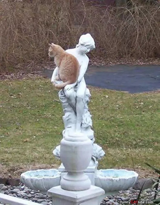 Found A Place To Sit
