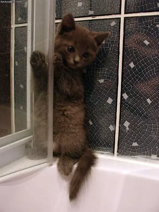 No Baths
