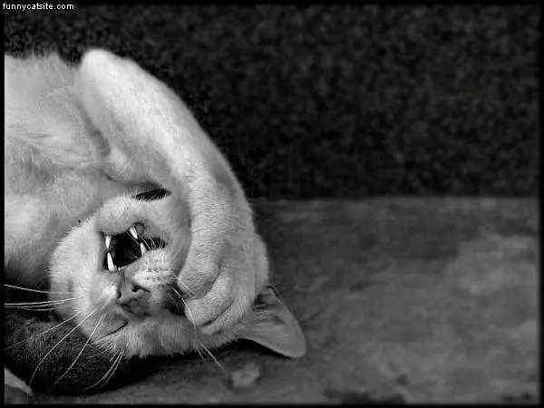 Bad Day