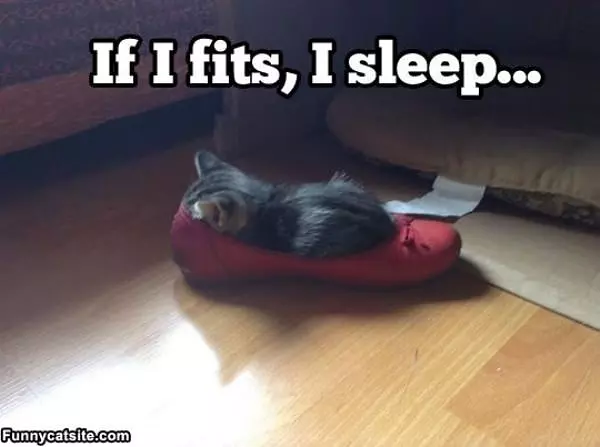 If I Fits