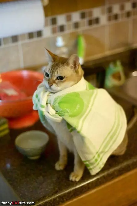 I Am Super