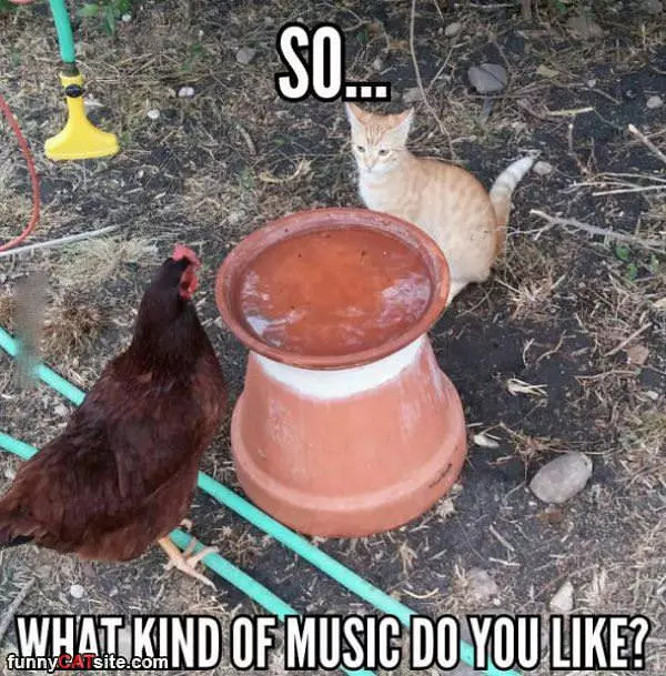 Soooo