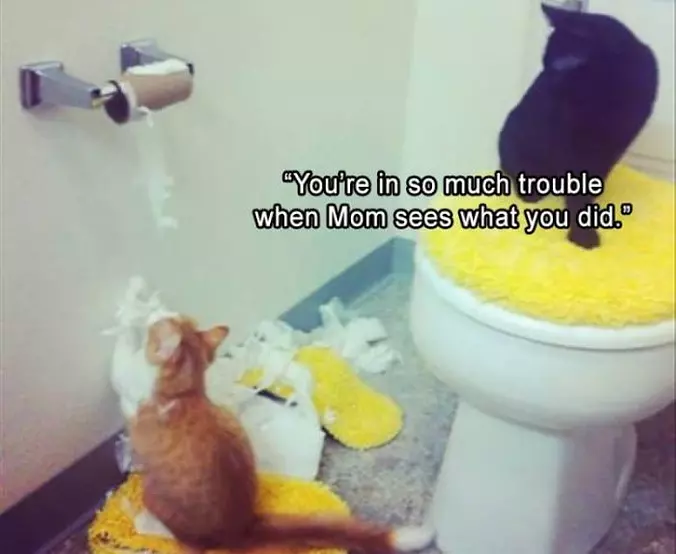 You Are In Trouble Now