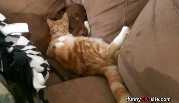 All Tucked In Together