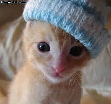 Nice Hat