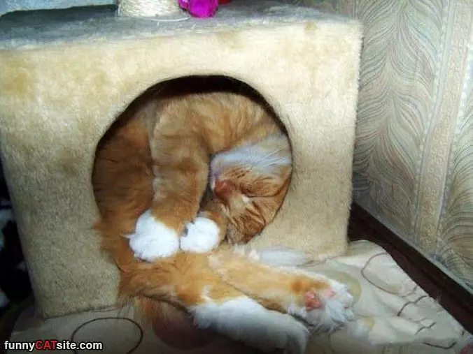 See I Still Fit Fine