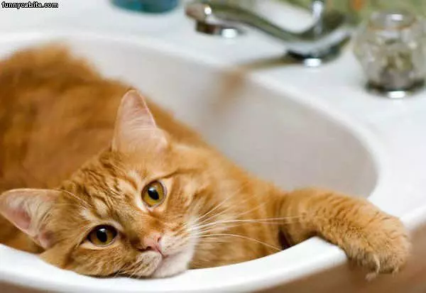 My Sink