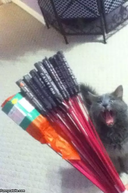 Loooveee Fireworks