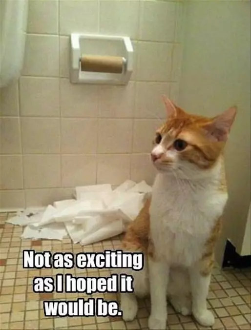 Not All That Exciting