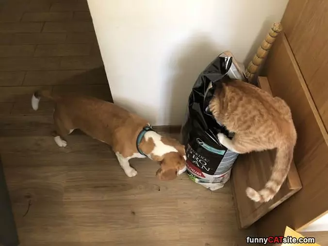 Working Together
