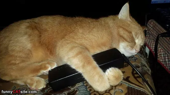 This Charger Is Warming Up