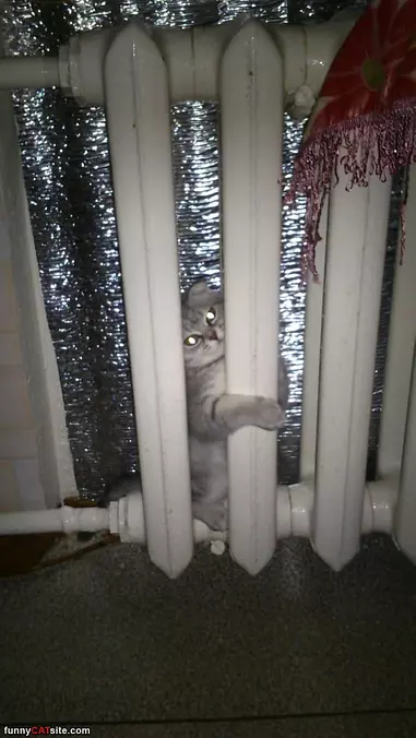 Warmest Spot In The House