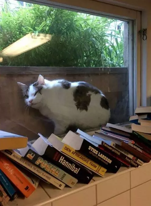 Hey Guys I Am Stuck