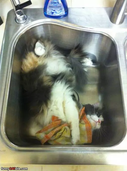This Sink Is Big Enough