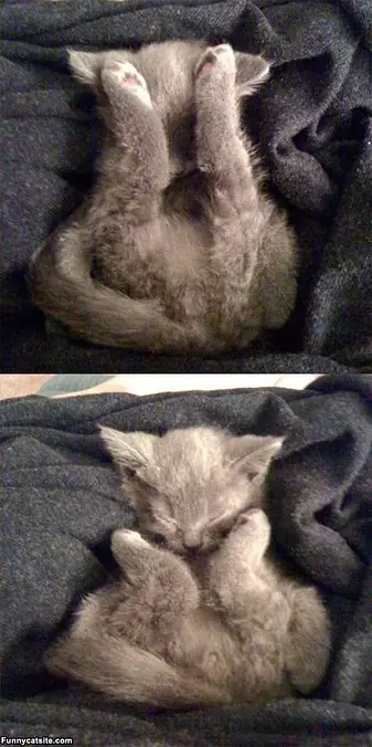 Yoga Sleep