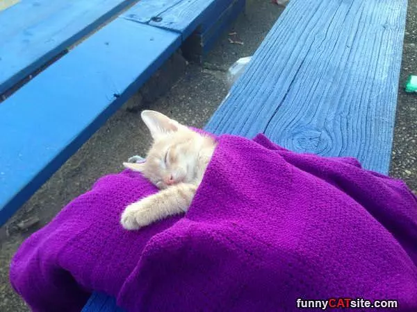 Sleeping In Comfortably