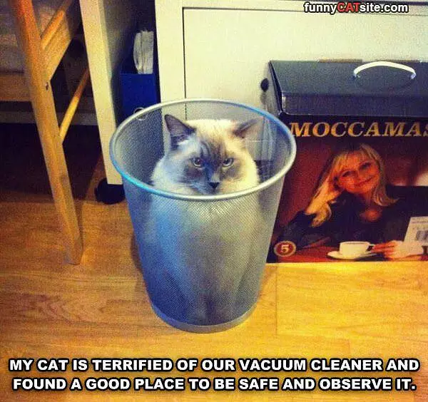 Hate The Vacuum