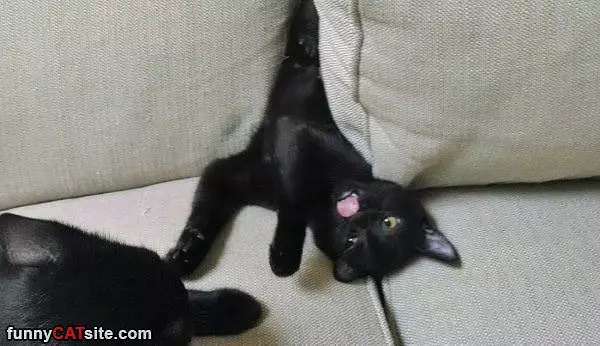 My Derppy Face