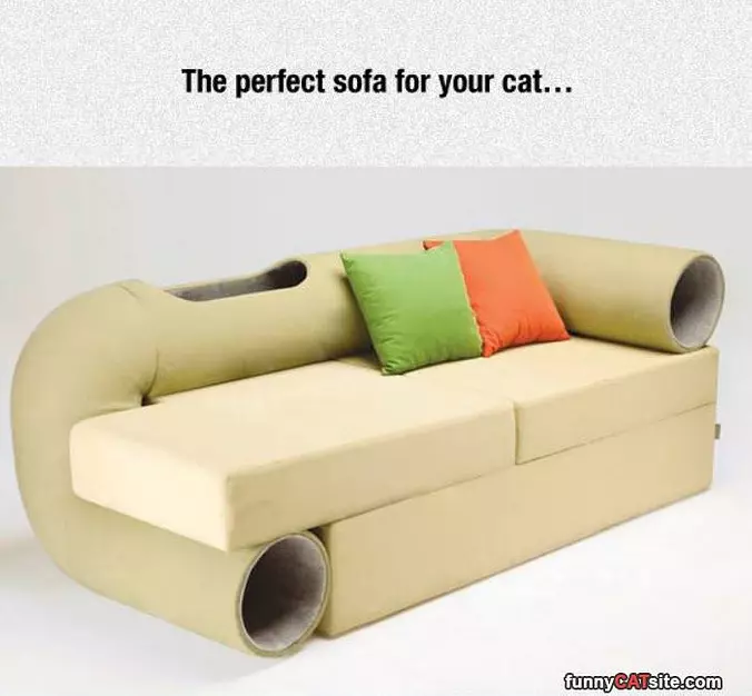 Cat Sofa