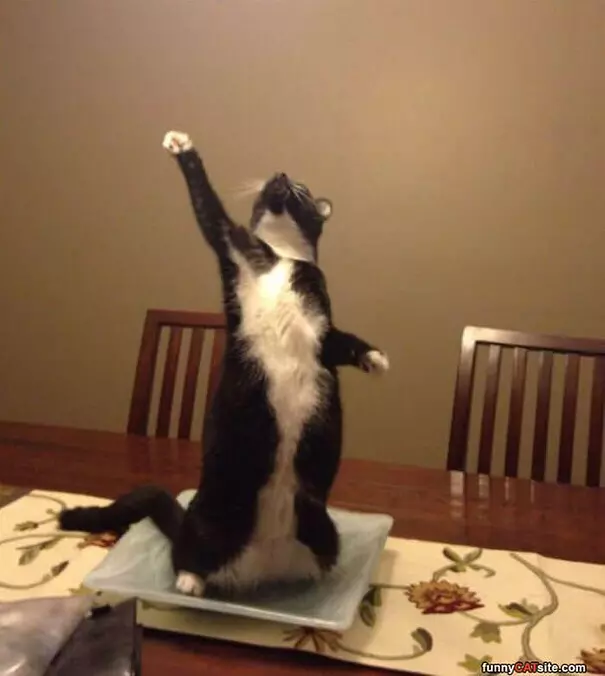 Hands Up