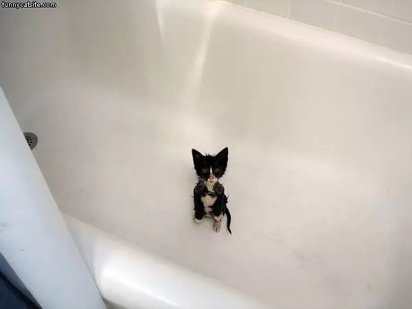 Is It Shower Time Yet