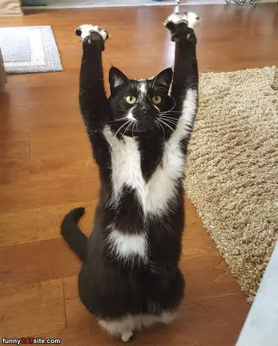 Doing My Stretches