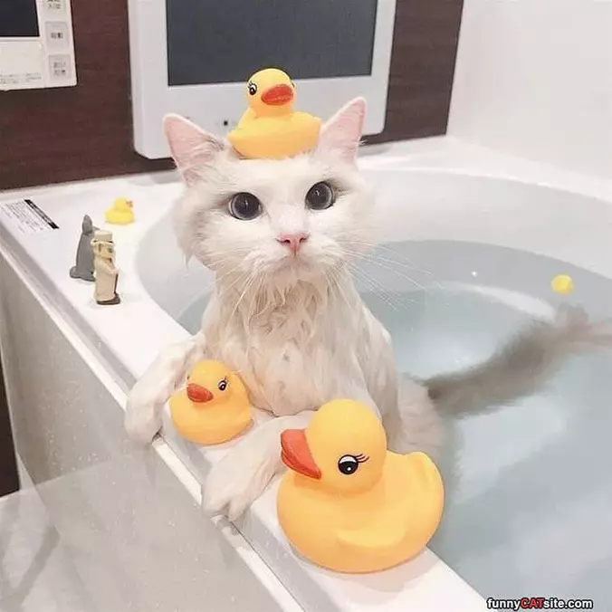 I Love Bath Time