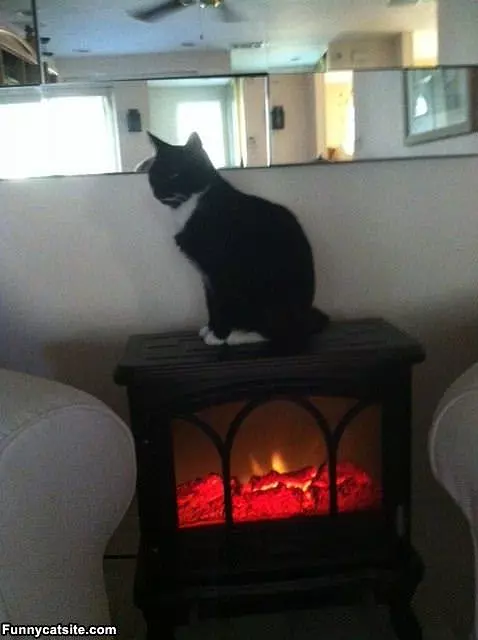 This Is A Nice Warm Spot