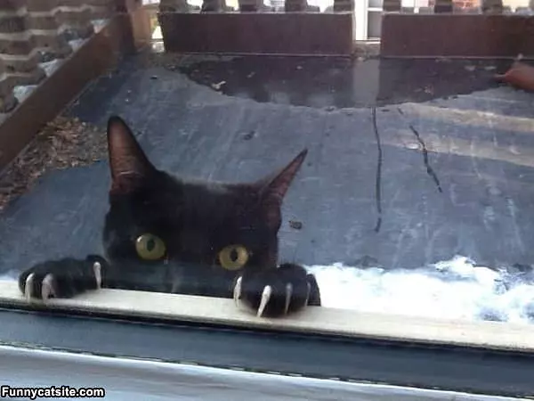 Hey Whats Going On In There