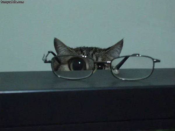 Glasses