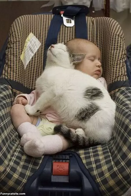 Sleepy Nap Time